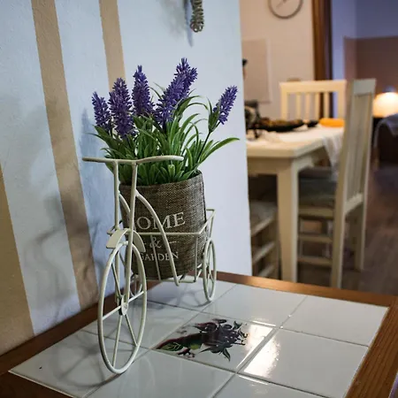 Heart Of The - Comfortable * Tirana