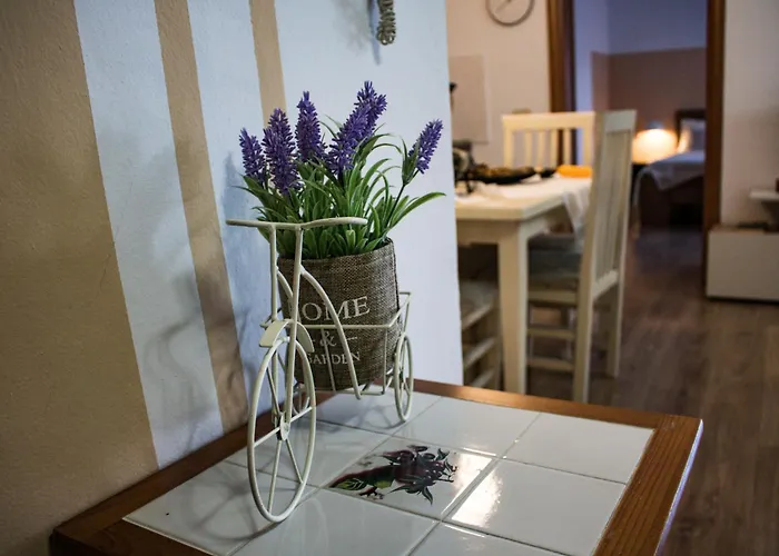 Heart Of The - Comfortable * ティラナ